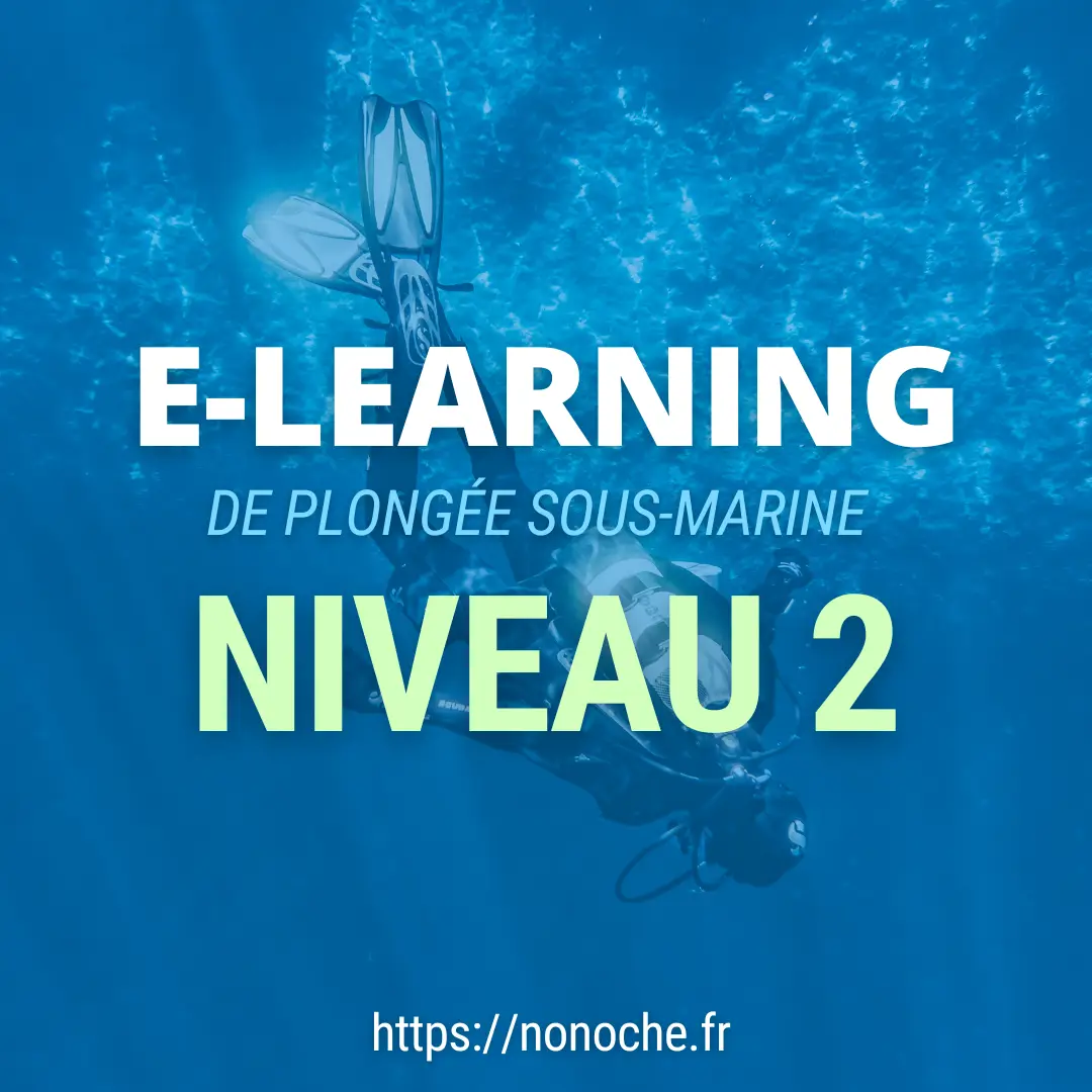 Cours théorique - Niveau 2