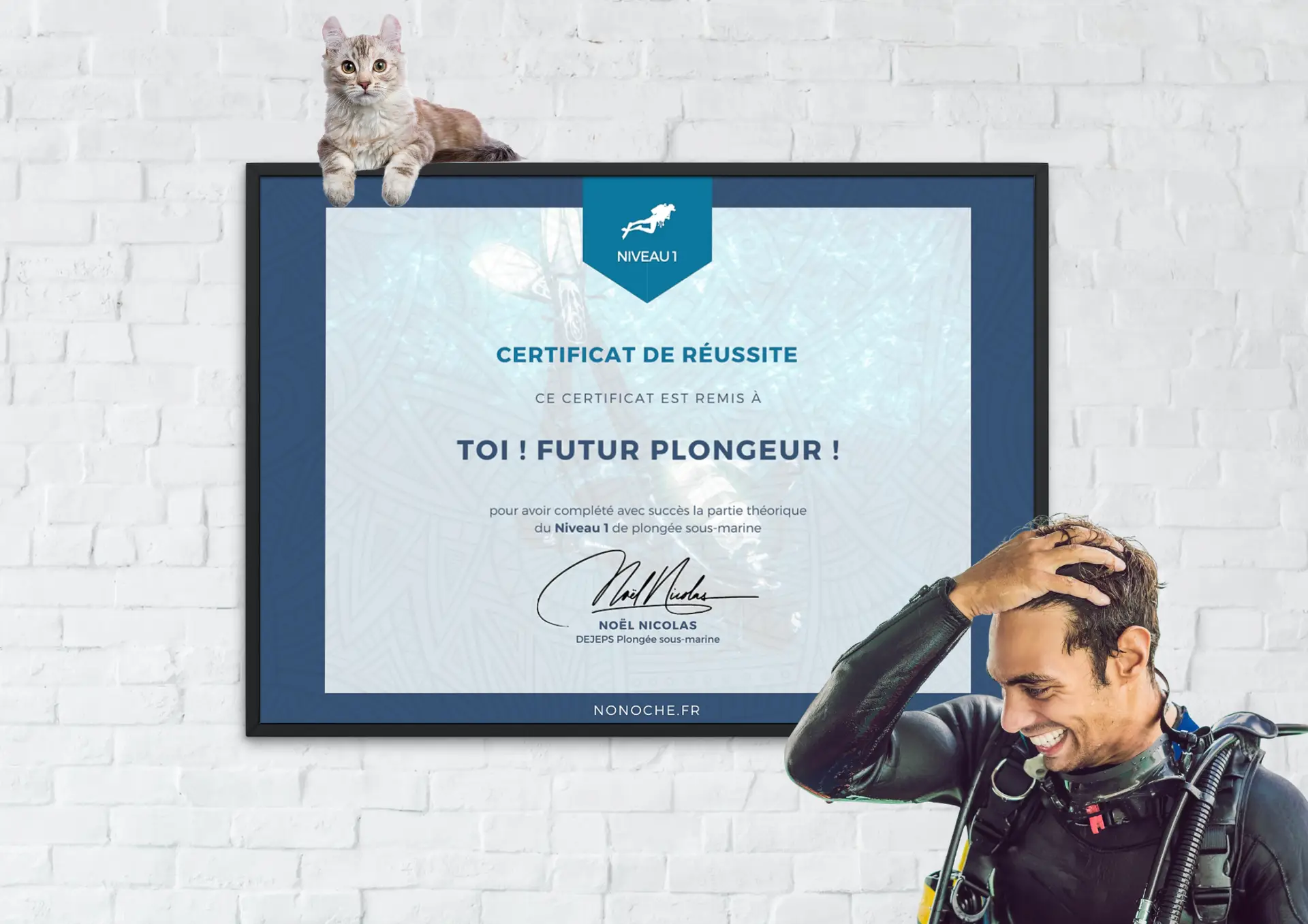 Certificat de réussite Théorie Niveau 1 de plongée Nonoche